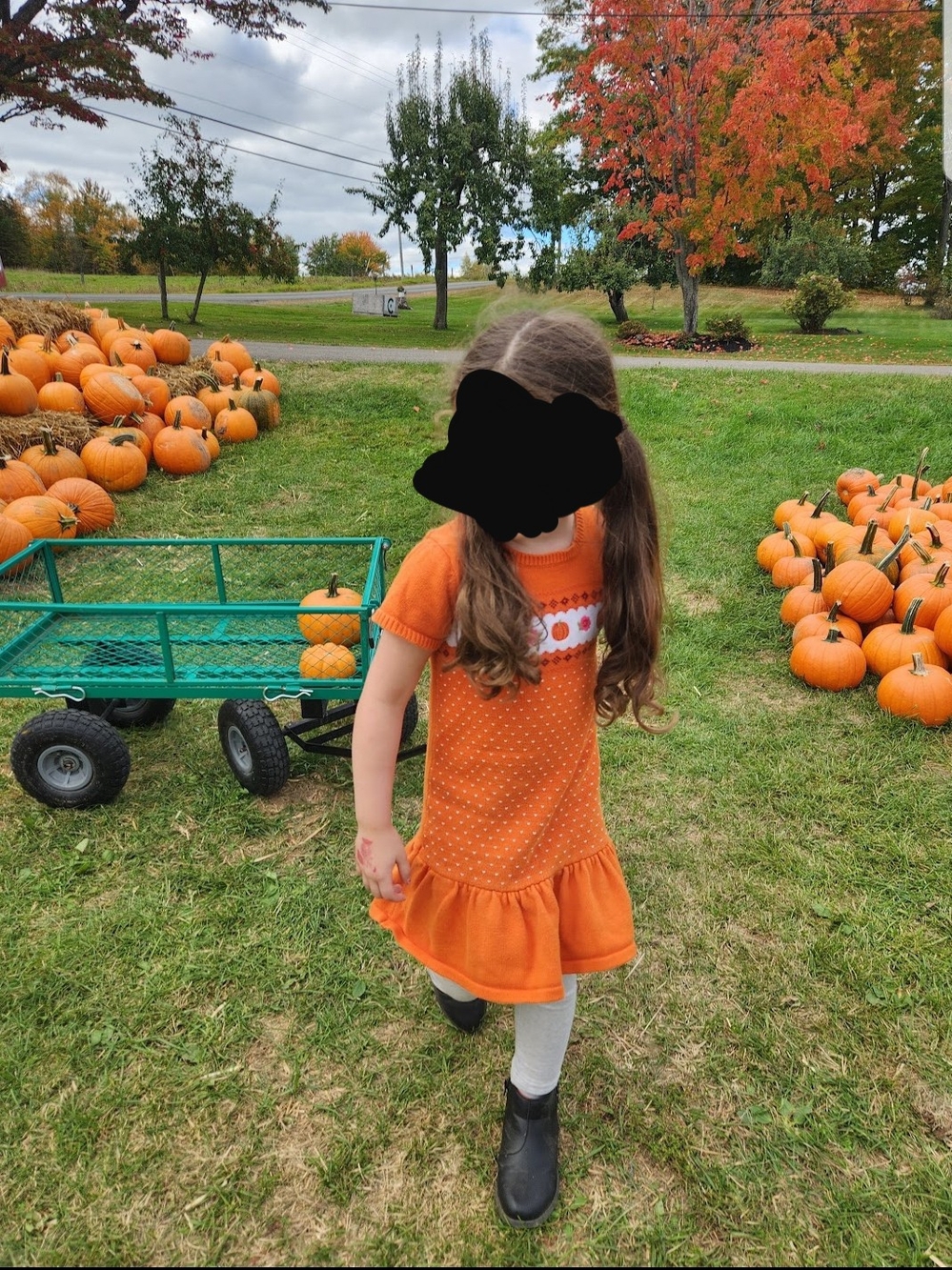 Girls Gymboree Pumpkin Dress